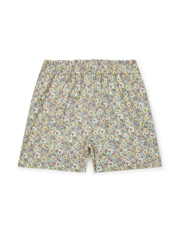 Bonton - great shorts flower