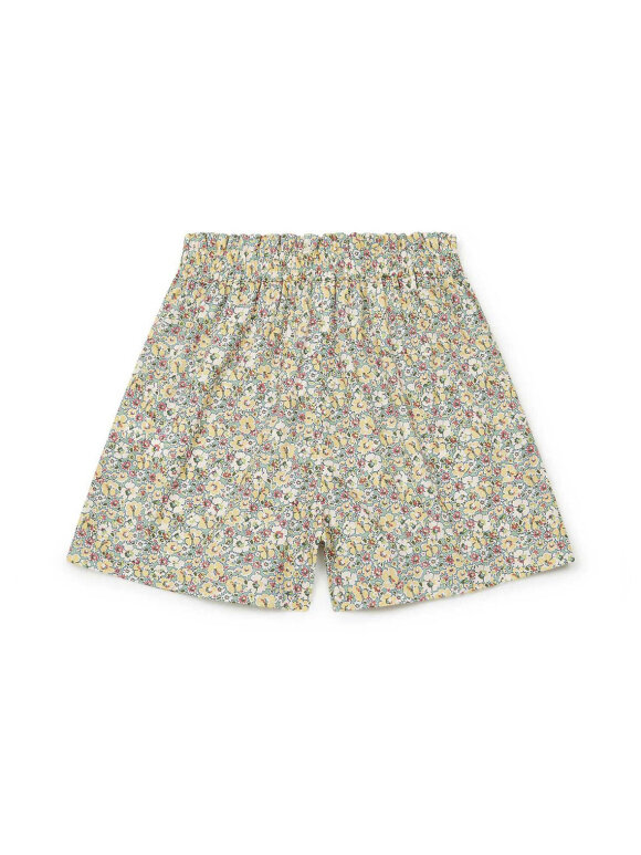 Bonton - great shorts flower